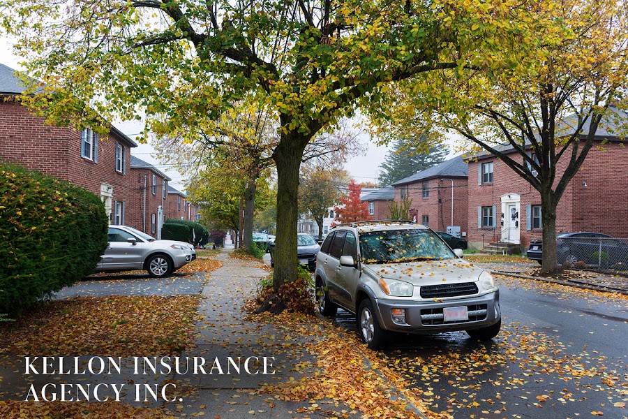 Kellon Insurance Agency photo 1