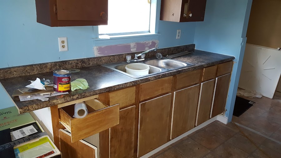 Mid-South Pest & Termite photo 2