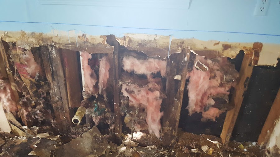Mid-South Pest & Termite photo 4