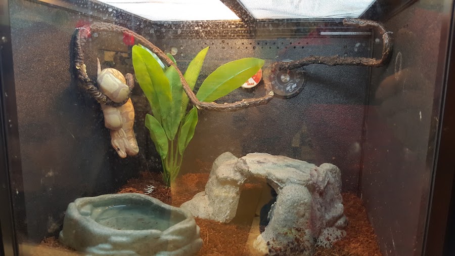 PetSmart photo 3