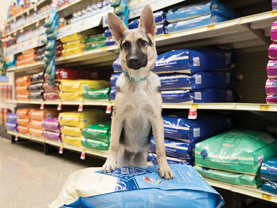 PetSmart photo 4
